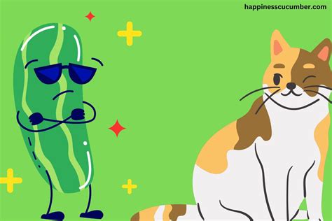 cucumber and cat videos|cats and cucumbers explanation.